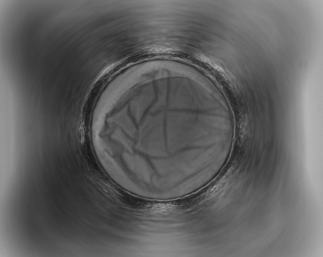 X0000096431306200802141424