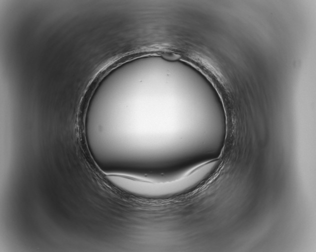 X0000096431308200802141424
