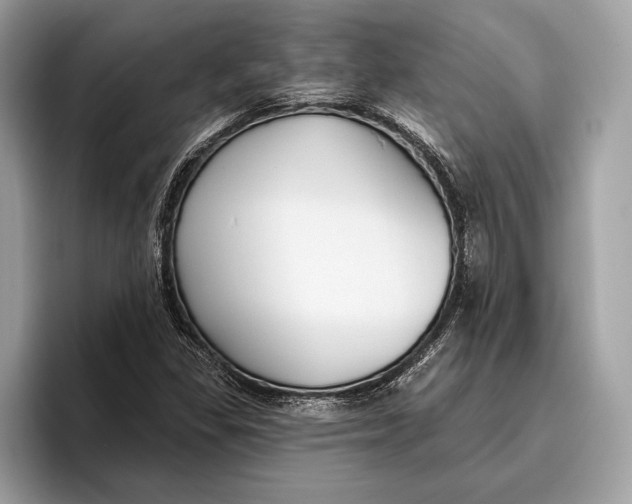 X0000096431309200802141424