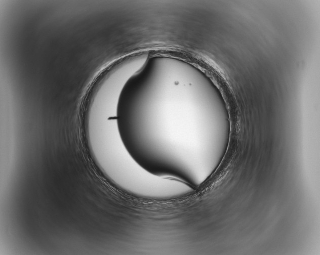 X0000096431310200802141424