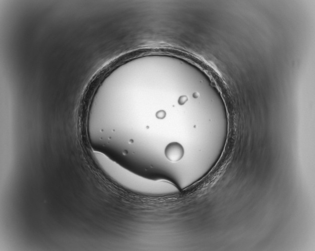 X0000096431311200802141424