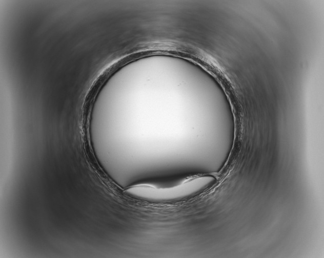 X0000096431312200802141424