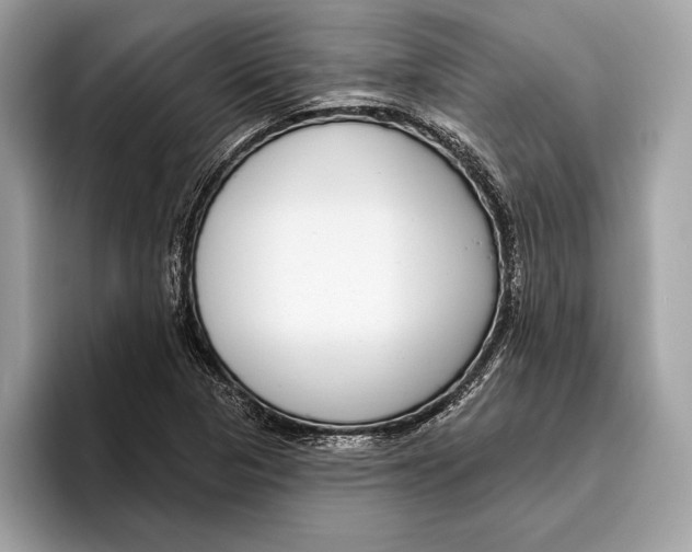 X0000096431313200802141424