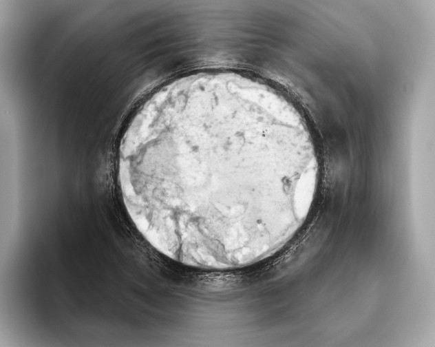 X0000096431314200802141424