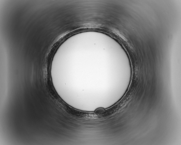 X0000096431315200802141424