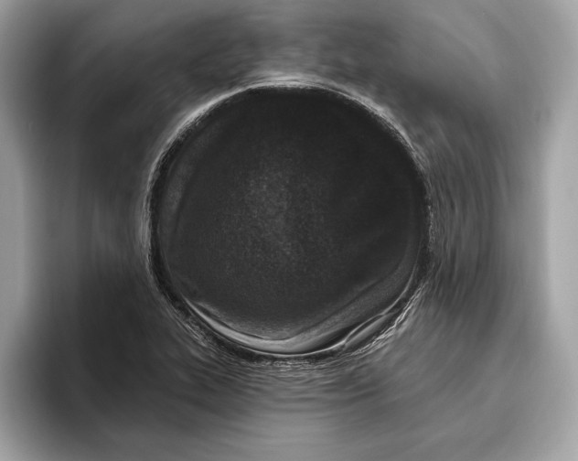 X0000096431319200802141424