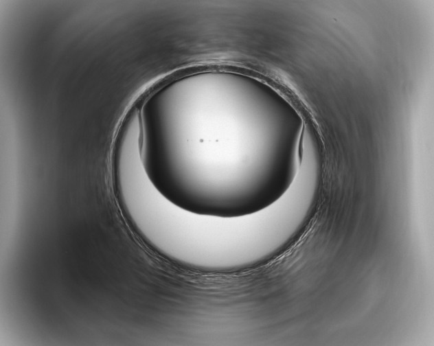 X0000096431320200802141424