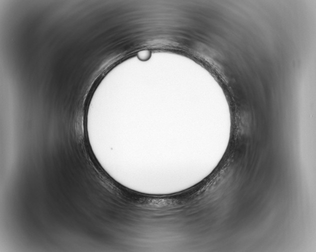 X0000096431322200802141424
