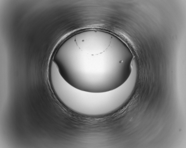 X0000096431324200802141424