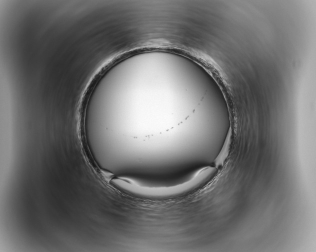 X0000096431326200802141424