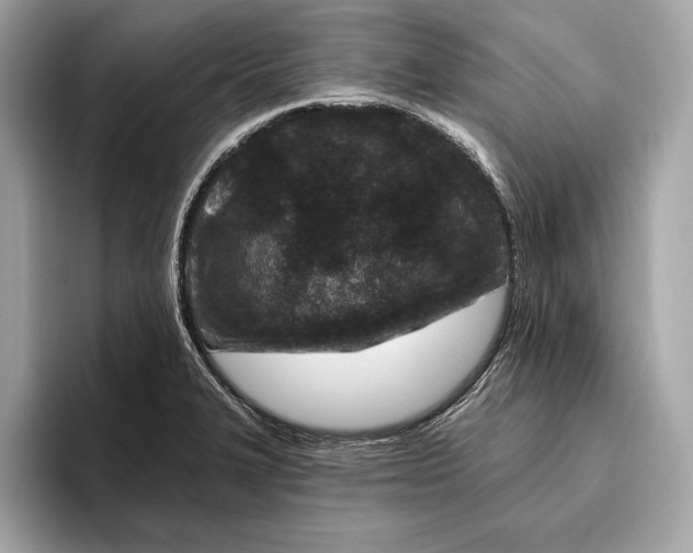 X0000096431327200802141424