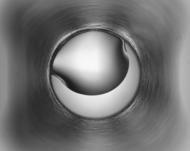 X0000096431328200802141424