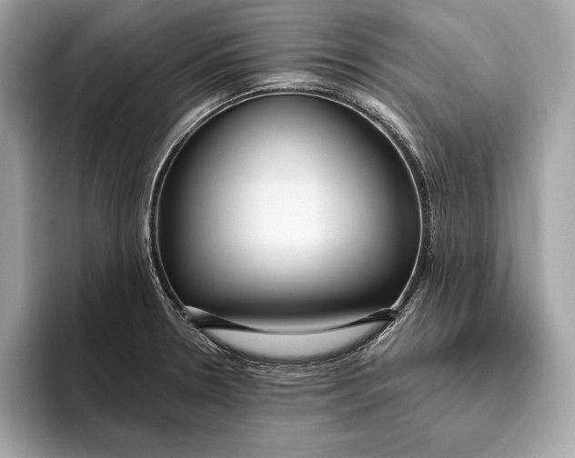 X0000096431330200802141424
