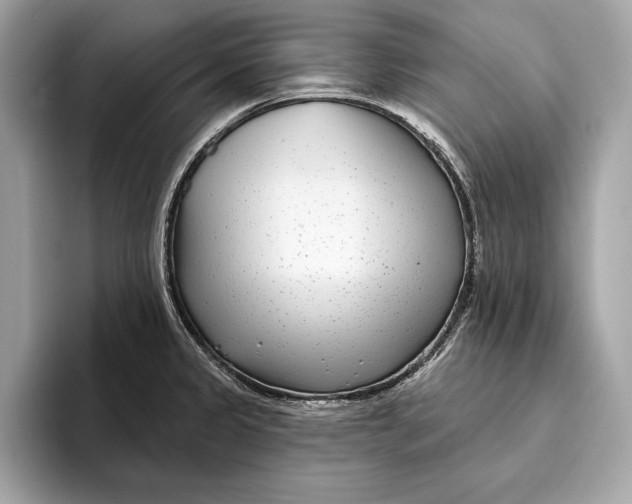 X0000096431333200802141424