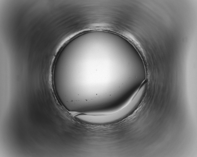 X0000096431336200802141424