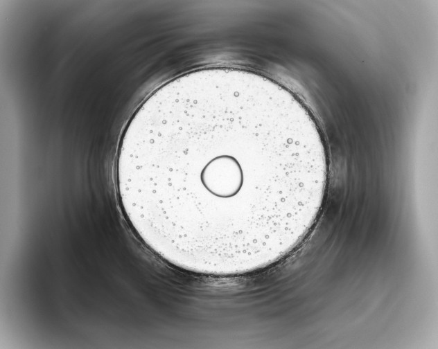 X0000096431338200802141424