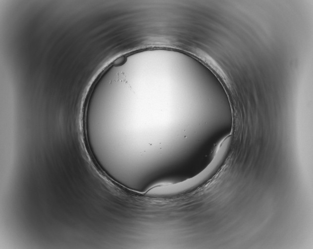 X0000096431339200802141424