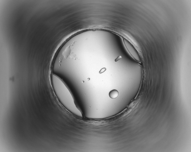 X0000096431340200802141424