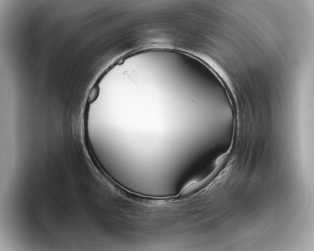 X0000096431341200802141424