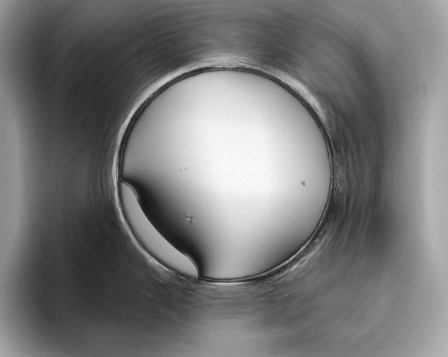 X0000096431343200802141424