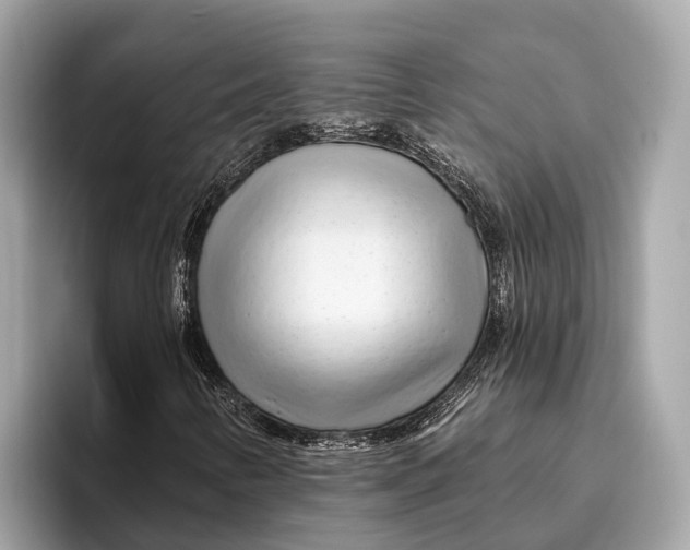 X0000096431346200802141423