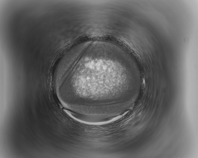 X0000096431348200802141423