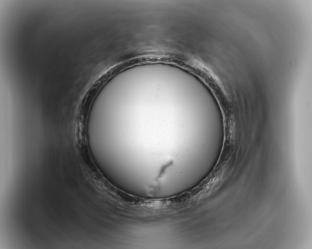 X0000096431352200802141423