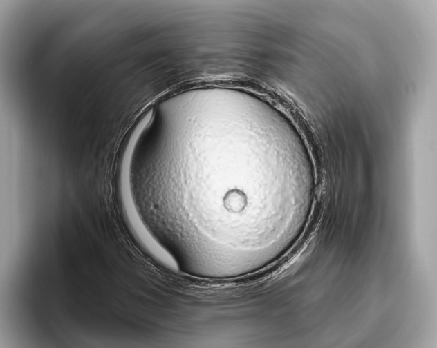 X0000096431353200802141423
