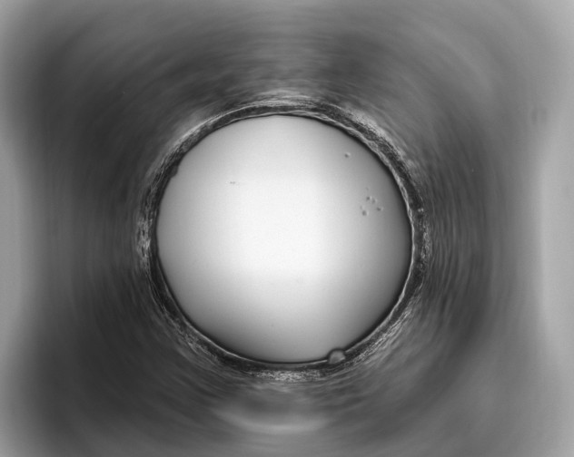 X0000096431355200802141423