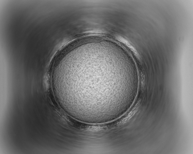 X0000096431357200802141423
