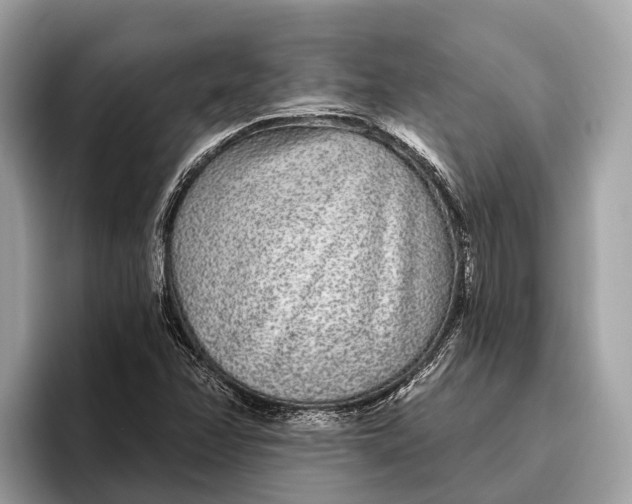 X0000096431358200802141423
