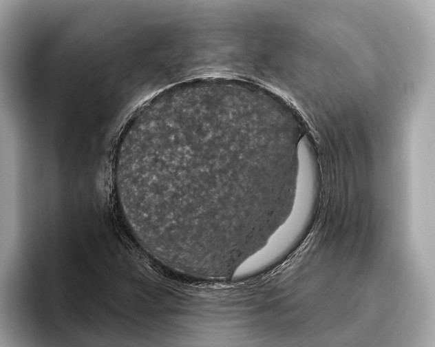 X0000096431359200802141423