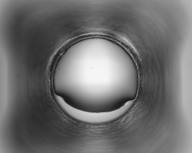 X0000096431360200802141423
