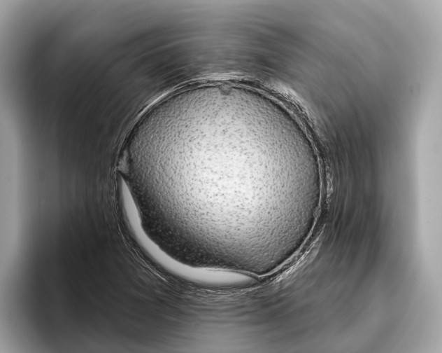 X0000096431361200802141423