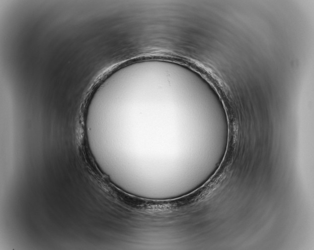 X0000096431363200802141423