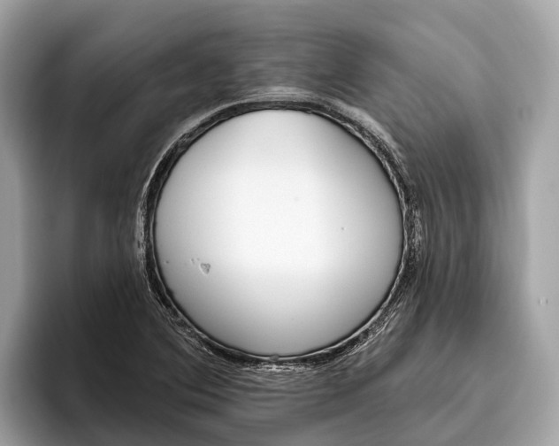 X0000096431364200802141423