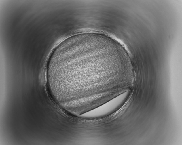 X0000096431365200802141423