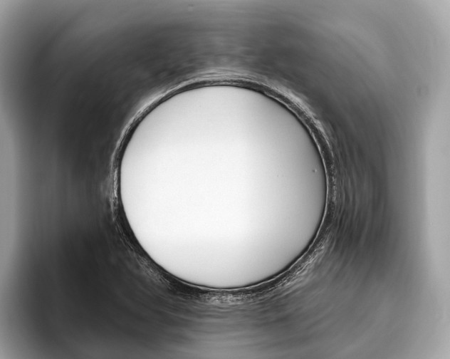 X0000096431366200802141423
