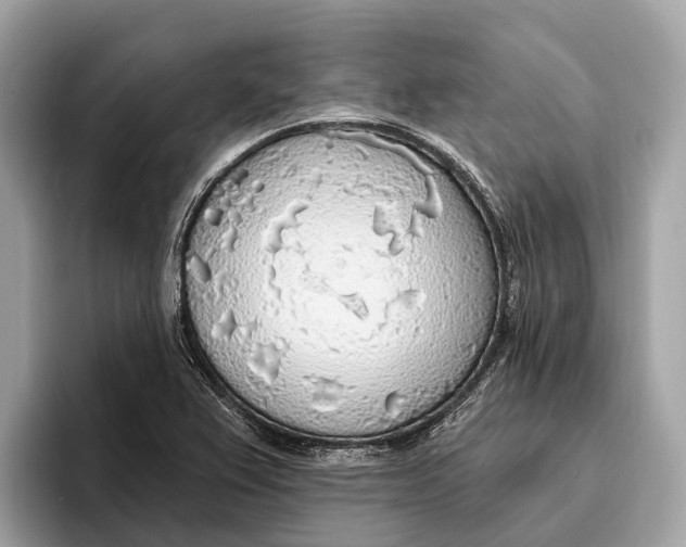 X0000096431367200802141423