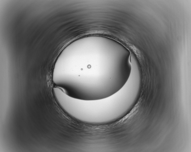 X0000096431369200802141423