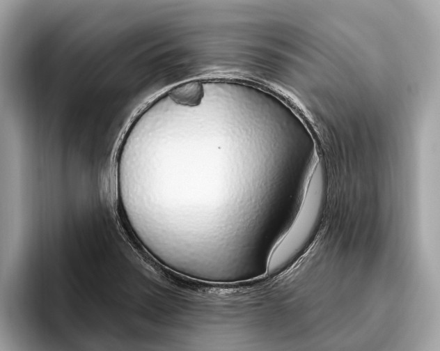 X0000096431371200802141423