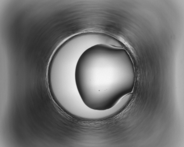 X0000096431372200802141423