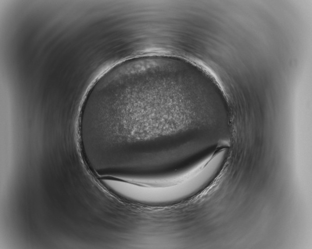 X0000096431373200802141423
