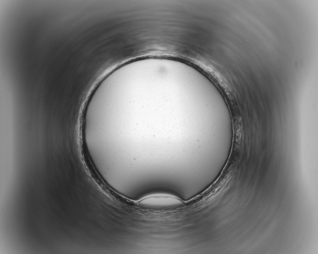 X0000096431375200802141423