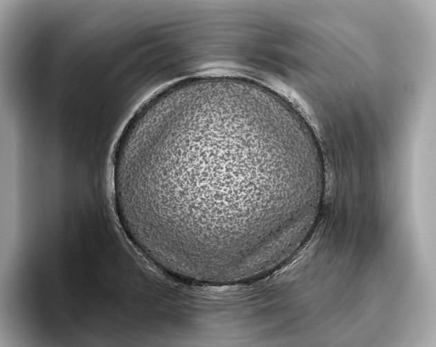 X0000096431376200802141423