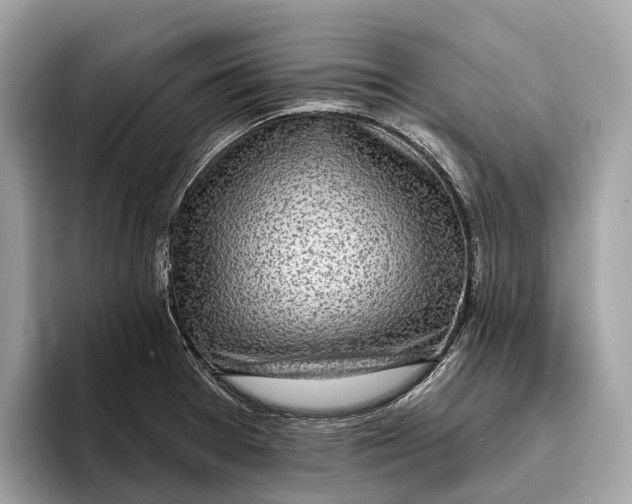 X0000096431377200802141423