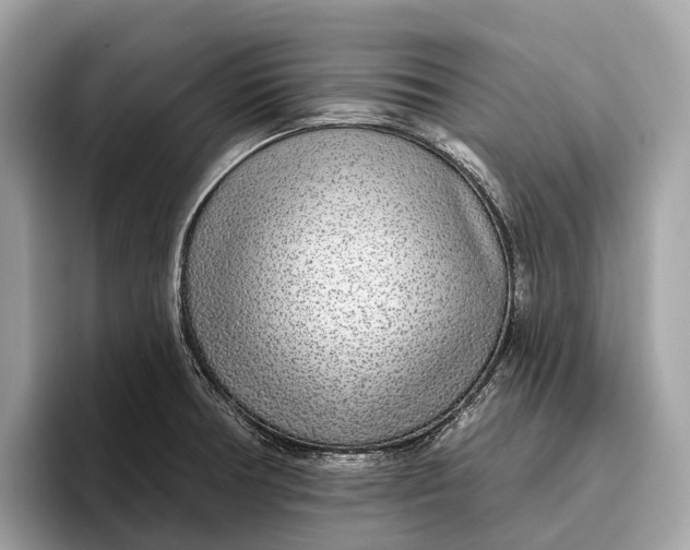 X0000096431378200802141423
