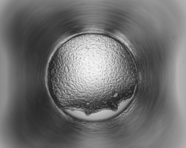 X0000096431379200802141423