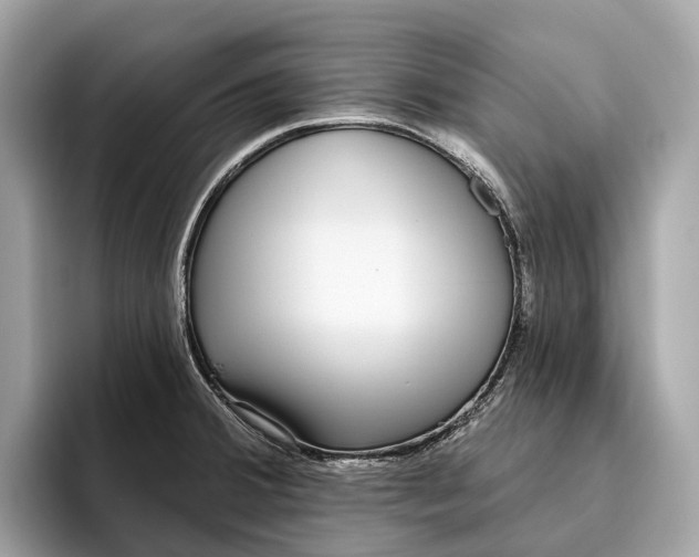 X0000096431380200802141423