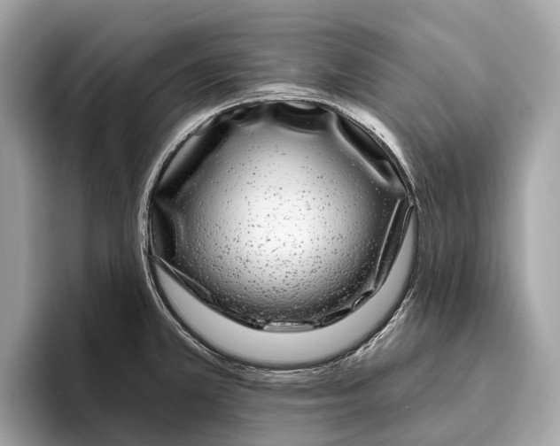 X0000096431381200802141423